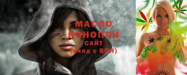 индика Бородино