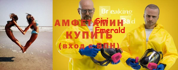 индика Бородино