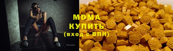 индика Бородино