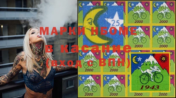 прущие грибы Бронницы