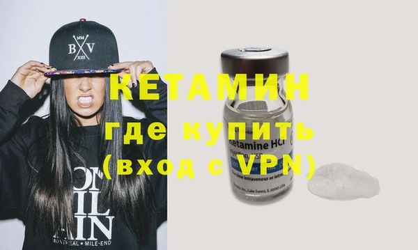 индика Бородино