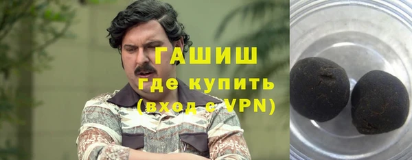 индика Бородино