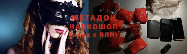 индика Бородино