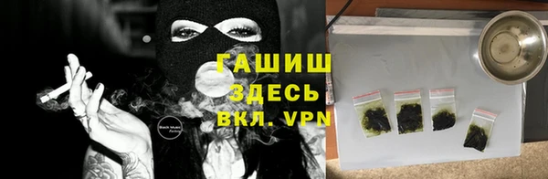 индика Бородино