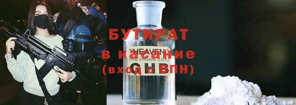 индика Бородино