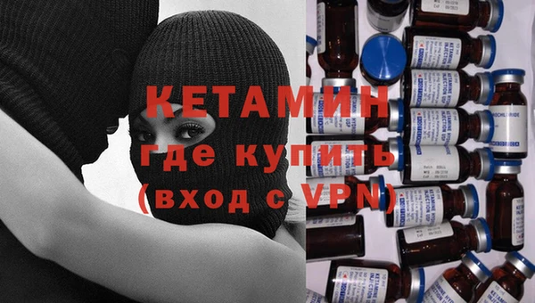 прущие грибы Бронницы