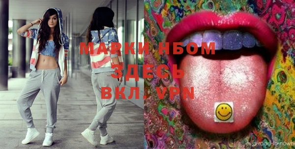 индика Бородино