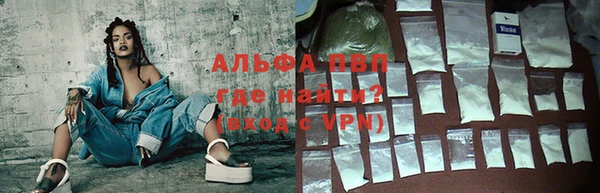 индика Бородино