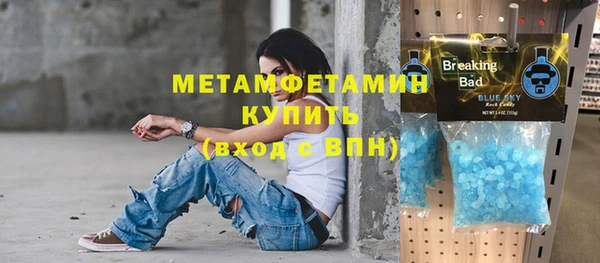 прущие грибы Бронницы