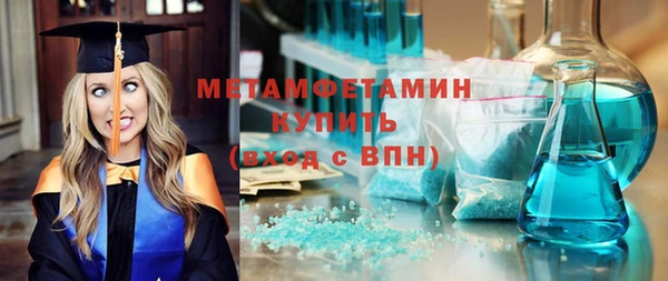 индика Бородино