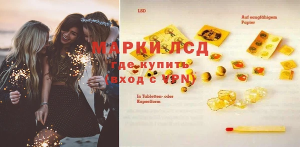прущие грибы Бронницы