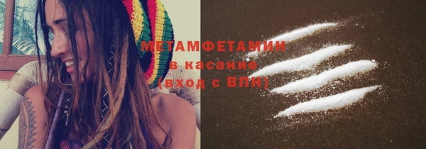 индика Бородино