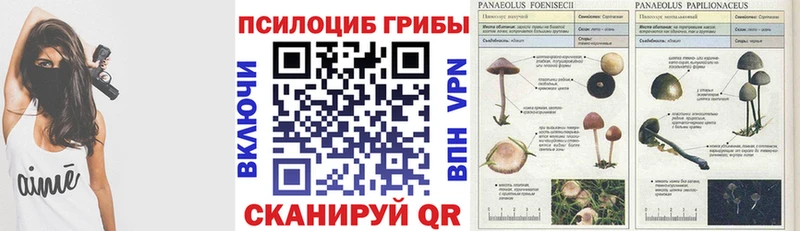наркота  Валуйки  мориарти телеграм  Псилоцибиновые грибы Magic Shrooms 